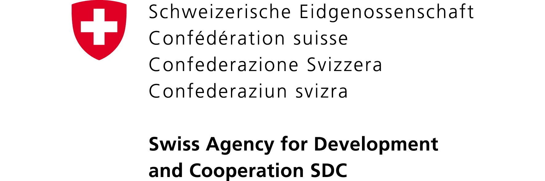 Logo DDC Suisse - Partenaire de Mateo Thode